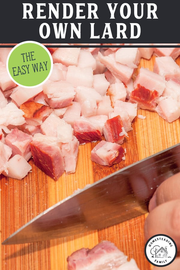 Rendering Lard At Home : How To Store Rendered Lard – ARXIHM