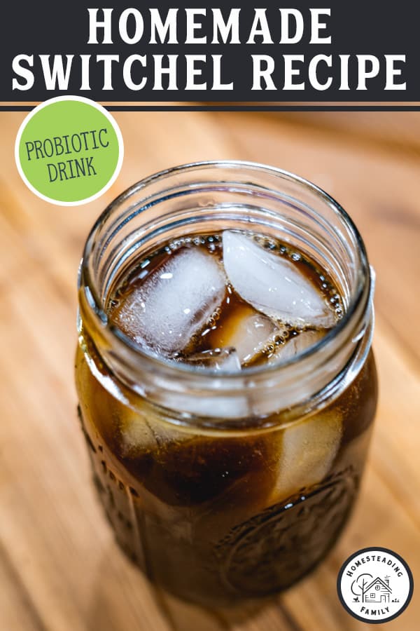 Switchel Recipe (Apple Cider Vinegar Drink or Haymaker's Punch)