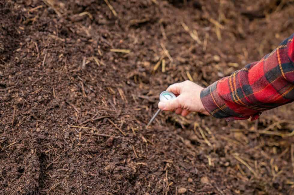 Can You Compost Meat & Other Animal Parts? — Homesteading Family