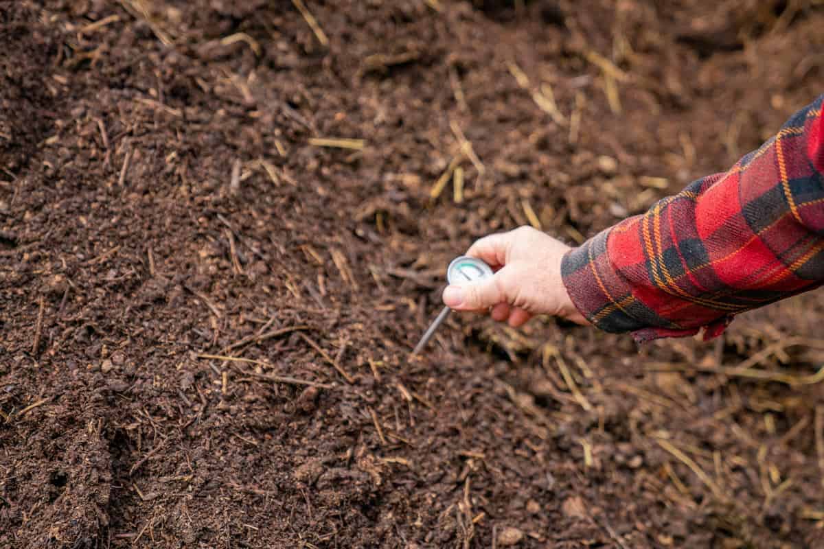 Can You Compost Meat & Other Animal Parts? — Homesteading Family