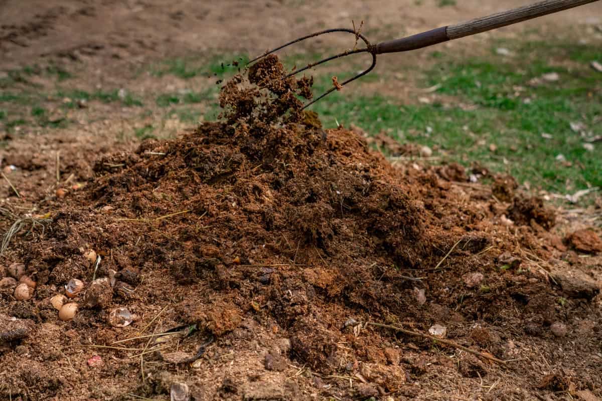 Can You Compost Meat & Other Animal Parts? — Homesteading Family