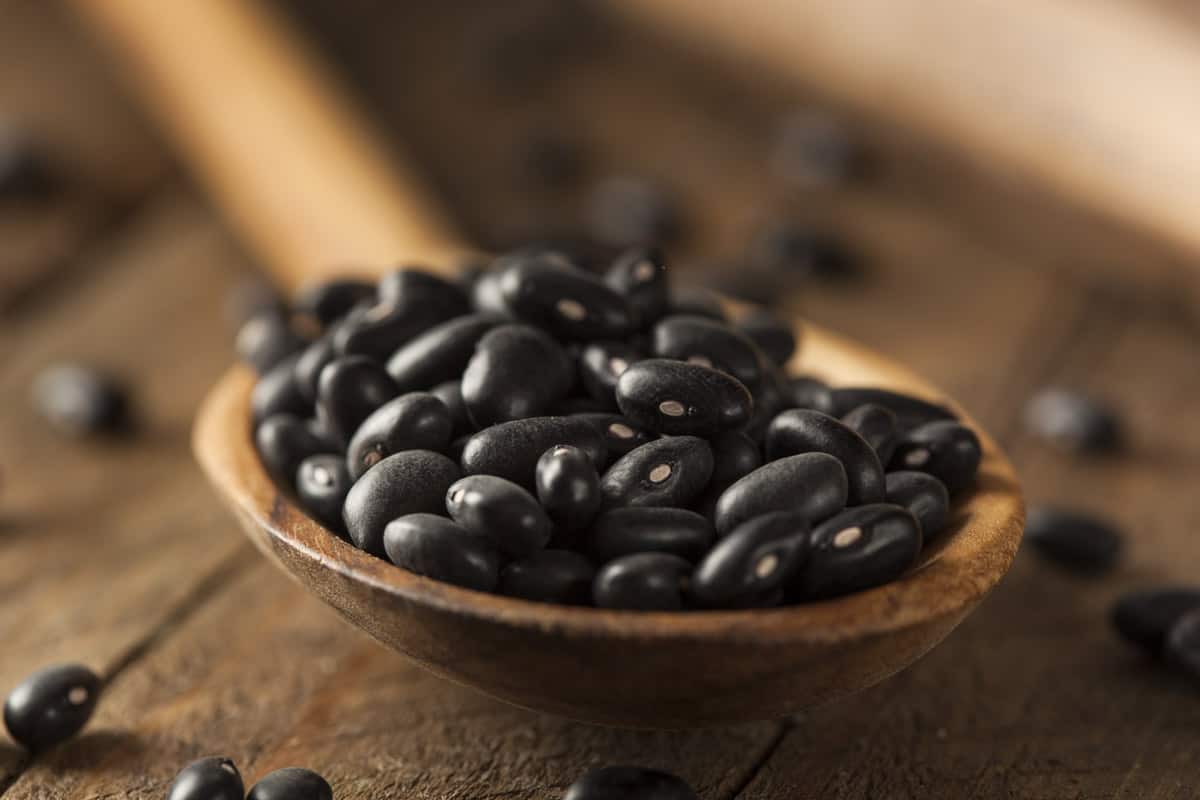 How to Pressure Can Black Beans — Homesteading Family