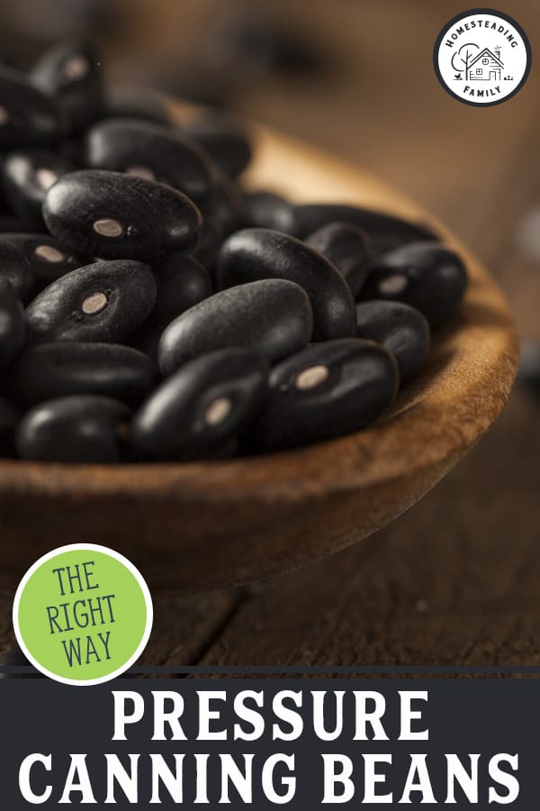 How to Pressure Can Black Beans — Homesteading Family