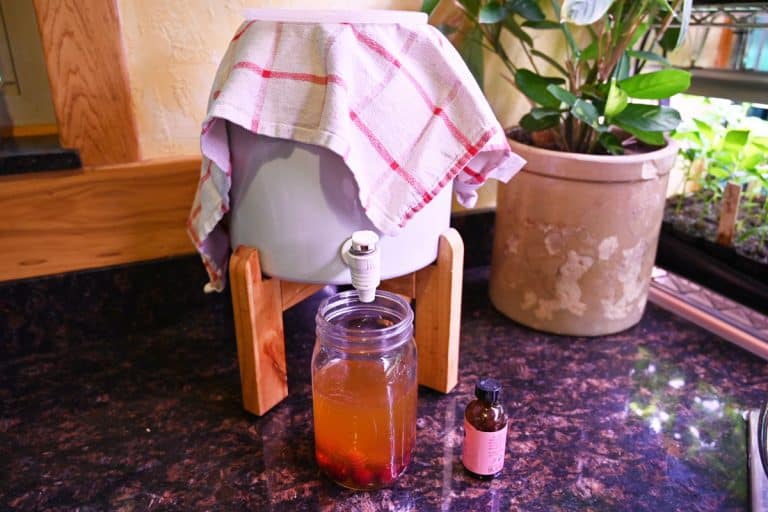 Cherry Almond Flavored Kombucha (How to Second Ferment Kombucha)