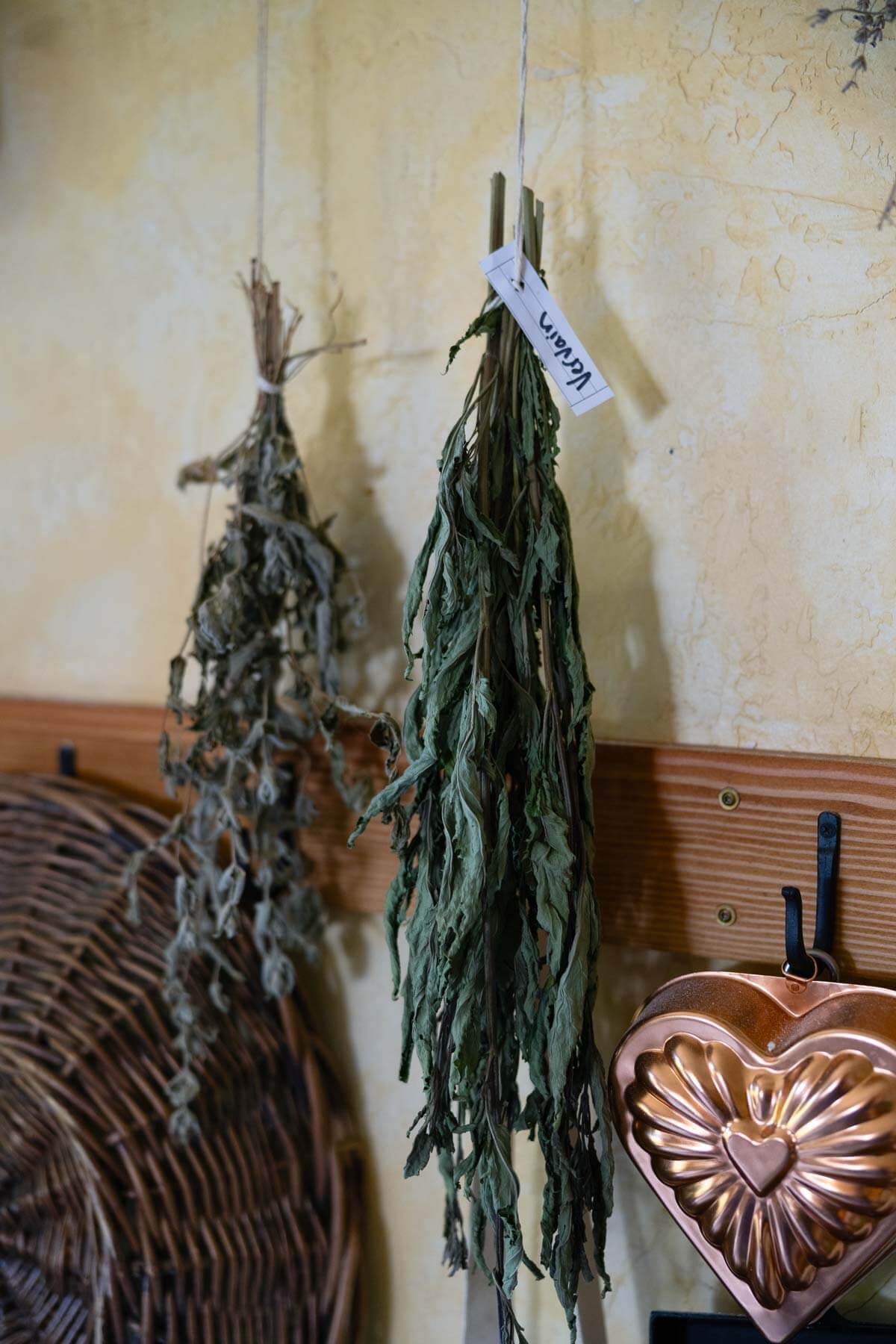 Medicinal herbs hanging to dry.