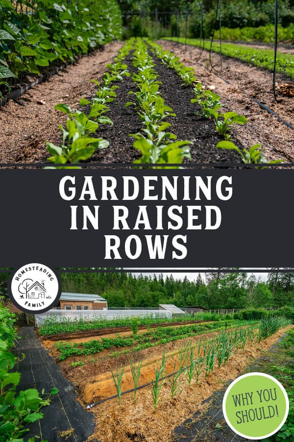 Making Raised Garden Bed Rows & SuperCharging Your Soil