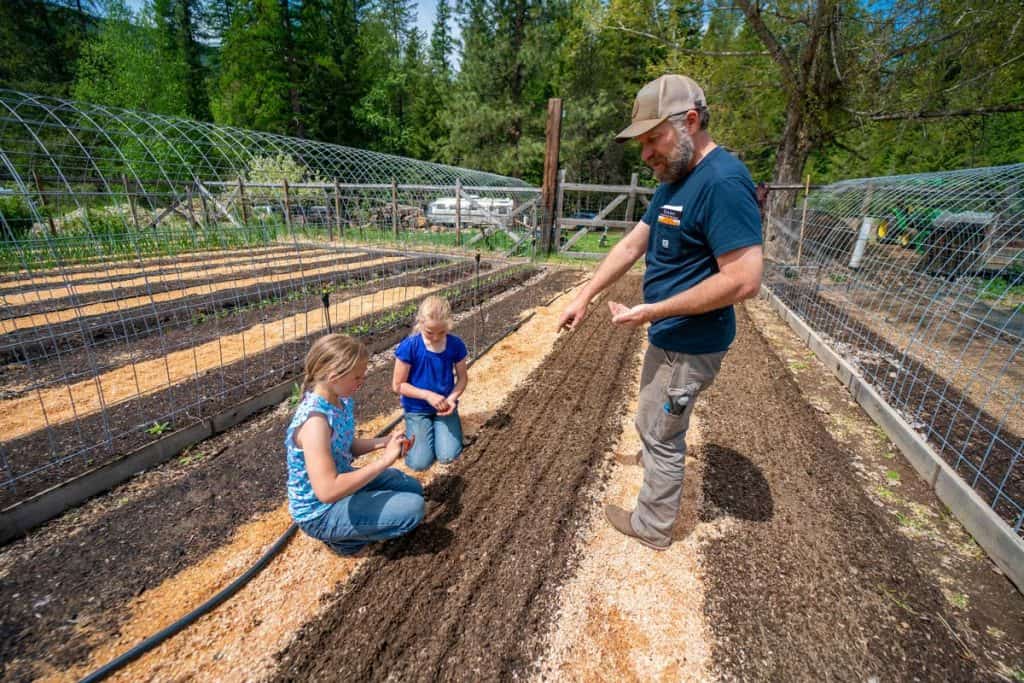 A dad and two daughters planting carrot seeds in the garden.