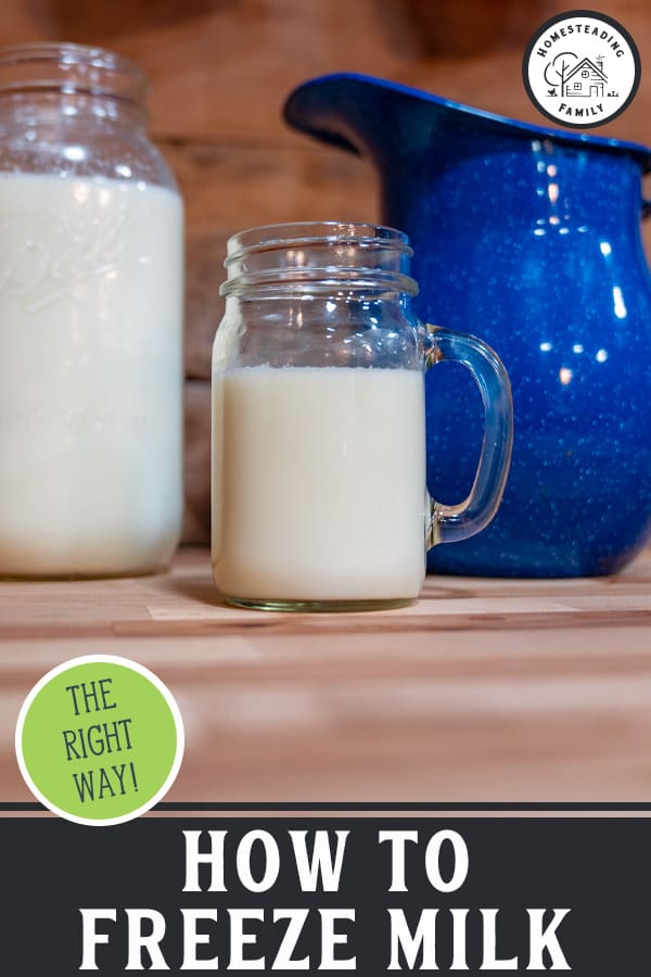 How to Freeze Milk (Or FreezeDry Milk) — Homesteading Family