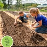 Pinterest pin for how to grow carrots from seed for maximum germination. Photo of two girls planting carrot seeds in the garden.