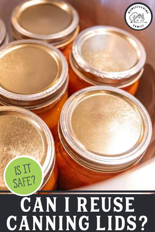 Can You Reuse Canning Lids? — Homesteading Family
