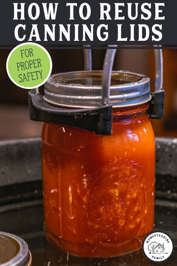Can You Reuse Canning Lids? — Homesteading Family