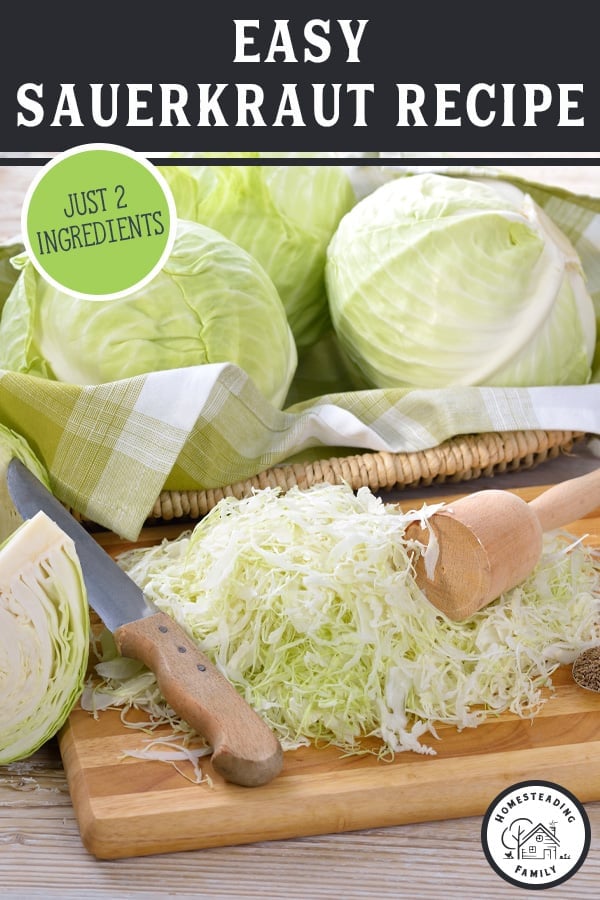 LactoFermented Sauerkraut Recipe — Homesteading Family