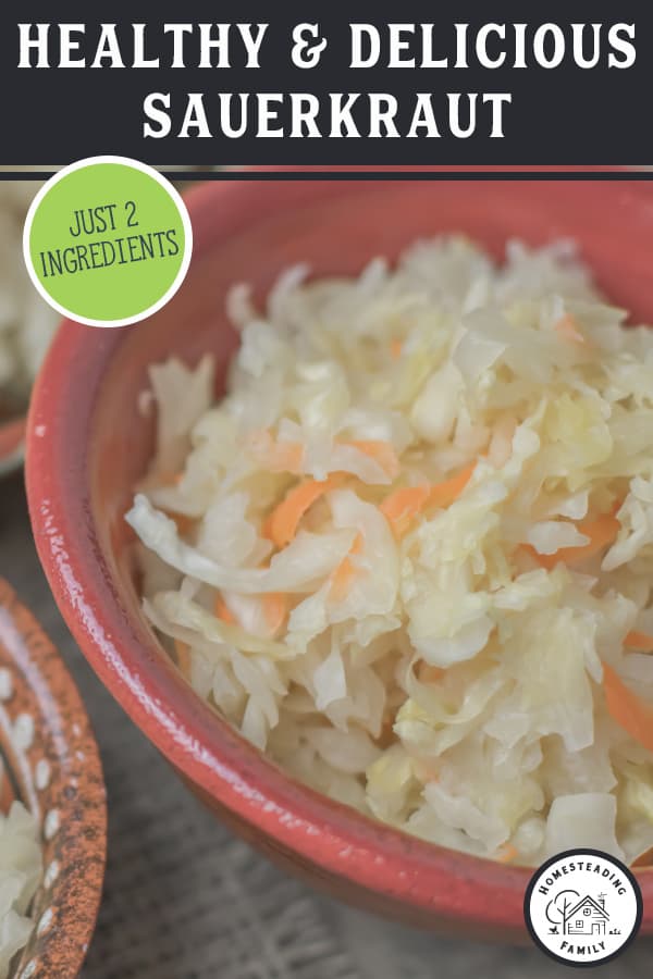 LactoFermented Sauerkraut Recipe — Homesteading Family