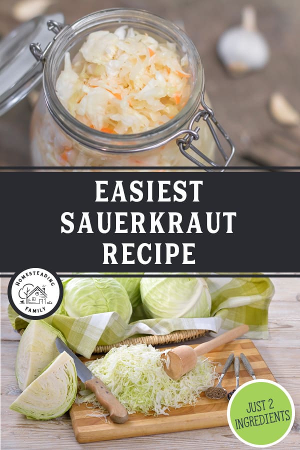 LactoFermented Sauerkraut Recipe — Homesteading Family