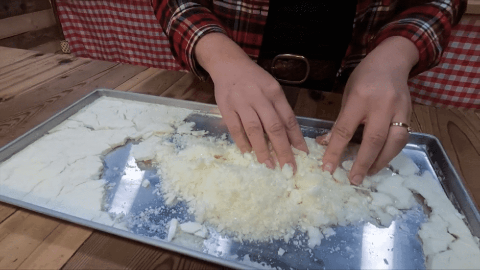 How to Freeze Milk (Or FreezeDry Milk) — Homesteading Family