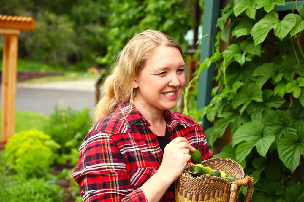  Eine Frau im Garten mit einem Korb gefüllt mit frisch gepflückten Gurken.