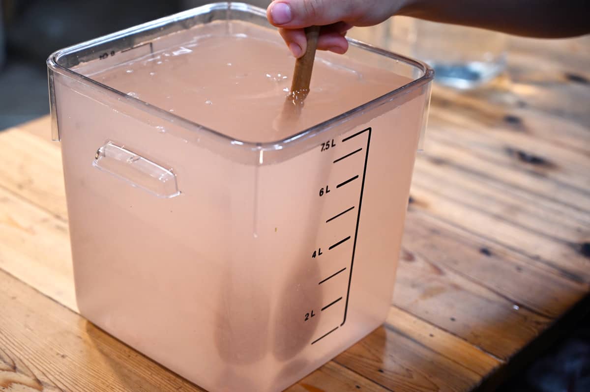 A two-gallon container filled with a saltwater brine and a wooden spoon stirring.