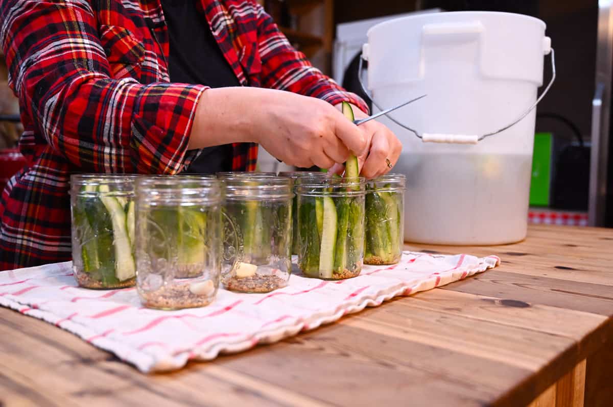 A woman's hands filling canning jars with sliced pickle spears for canning.
