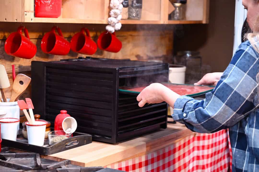 FreezeDried vs. Dehydrated Foods (What's the Difference