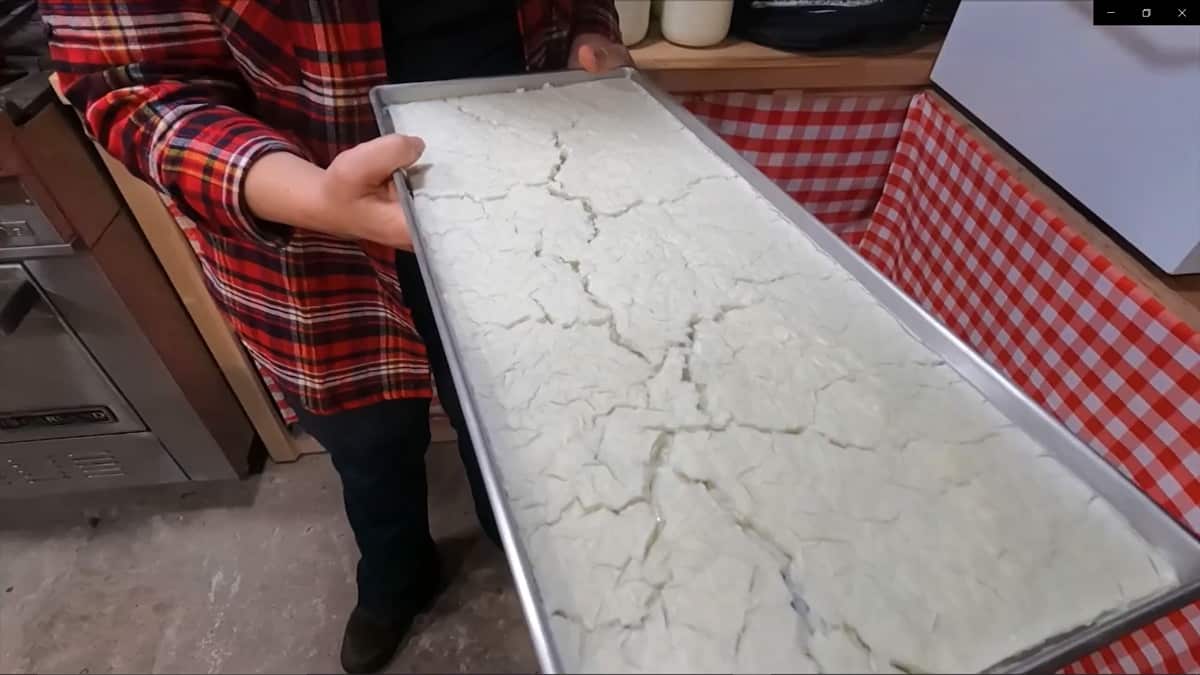 A tray of freeze dried milk.