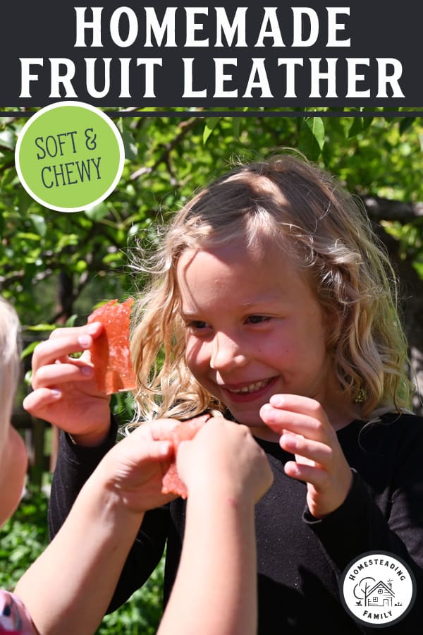 Easy Fruit Leather Recipe (Soft Chewy   A Secret Ingredient)