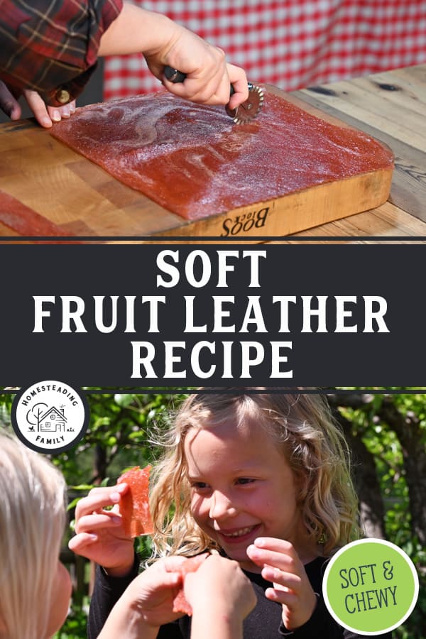Easy Fruit Leather Recipe (Soft Chewy   A Secret Ingredient)