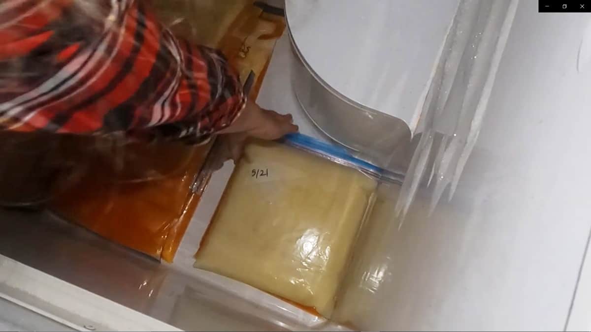 How to Freeze Milk (Or FreezeDry Milk) Homesteading Family