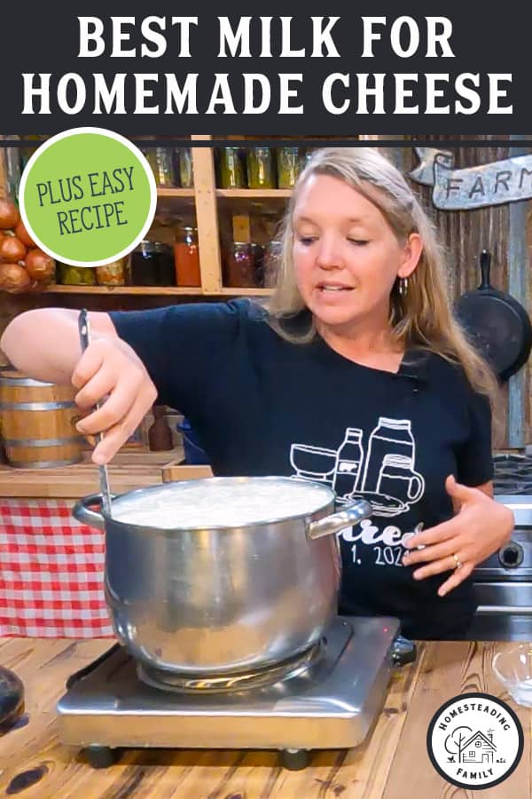 Can You Make Cheese From StoreBought Milk? — Homesteading Family