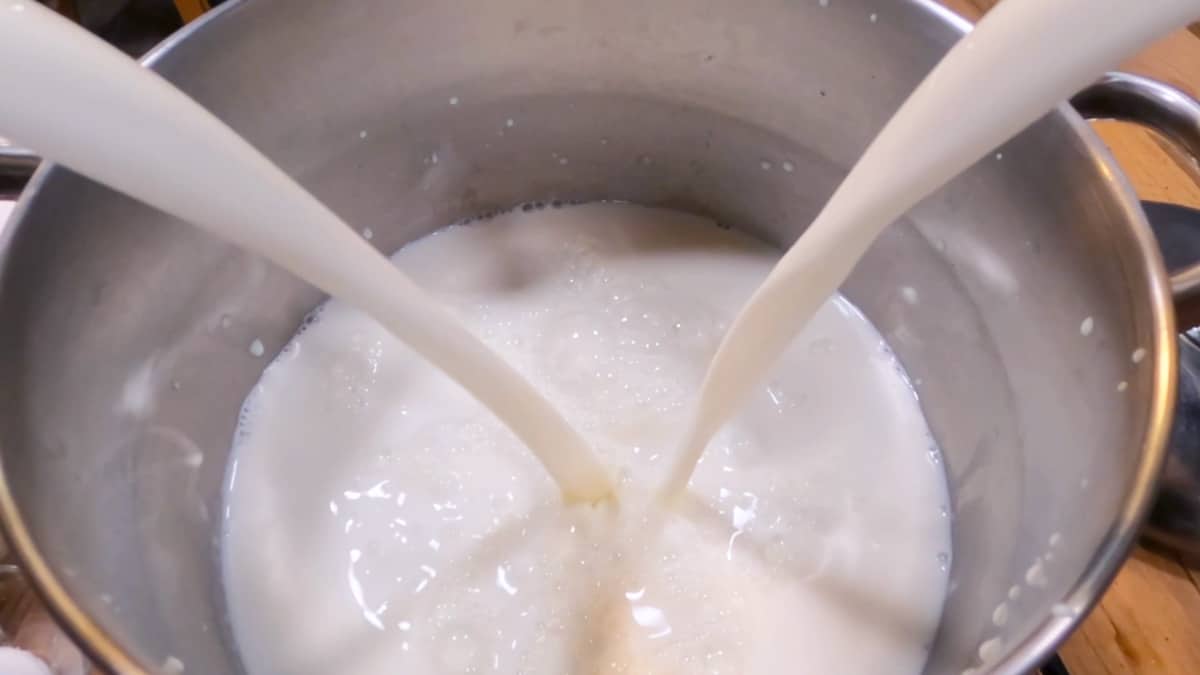 Can You Make Cheese From StoreBought Milk? — Homesteading Family