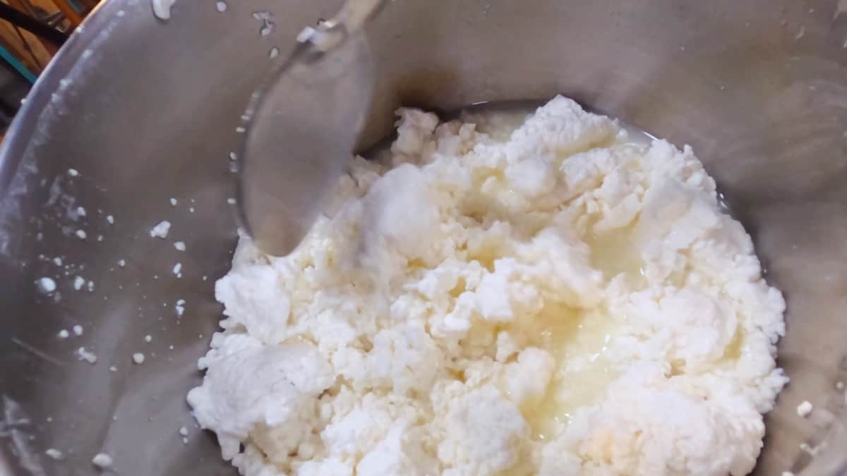 Can You Make Cheese From StoreBought Milk? — Homesteading Family