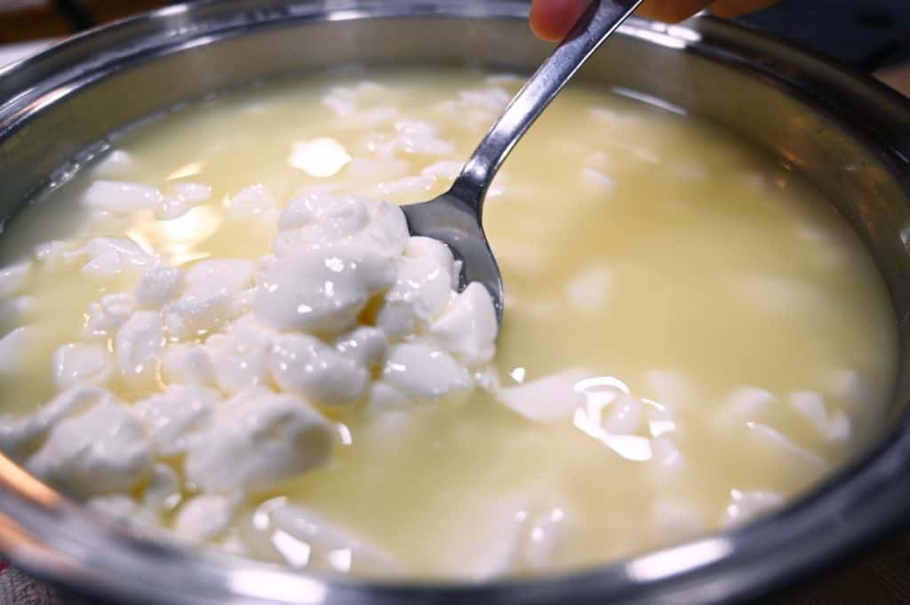 A batch of homemade cheese curds being stirred in a pot.