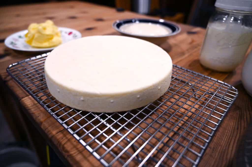 A wheel of homemade farmhouse cheddar cheese.