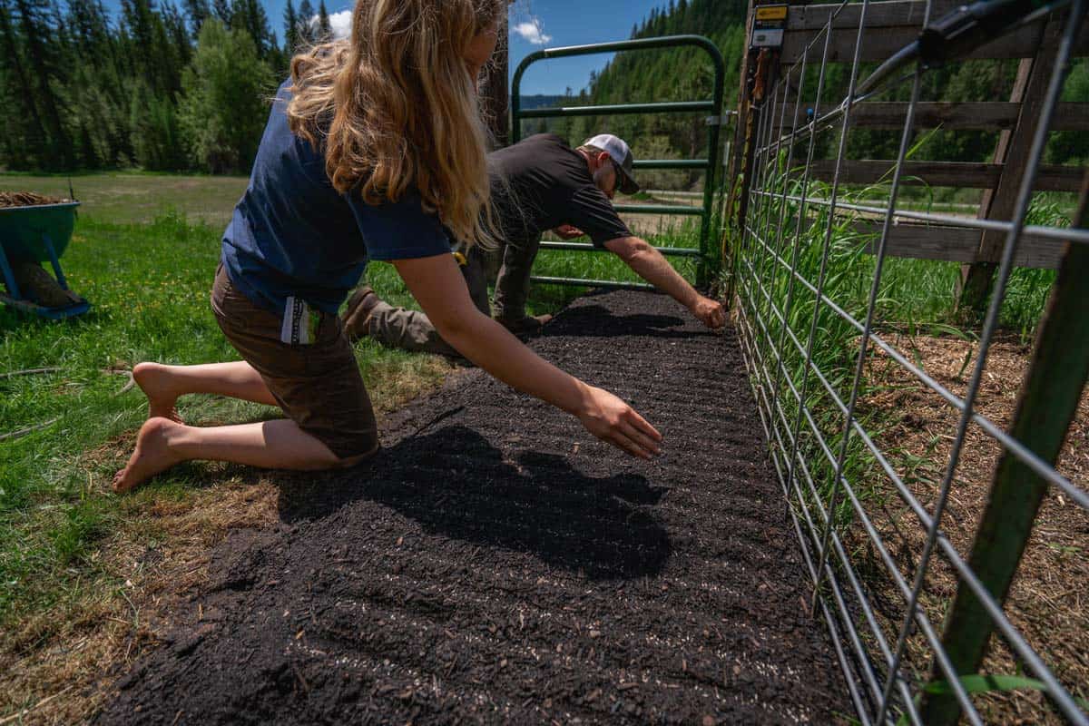 A father and daughter planting lettuce seeds.