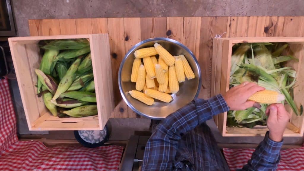 Fresh corn being shucked.