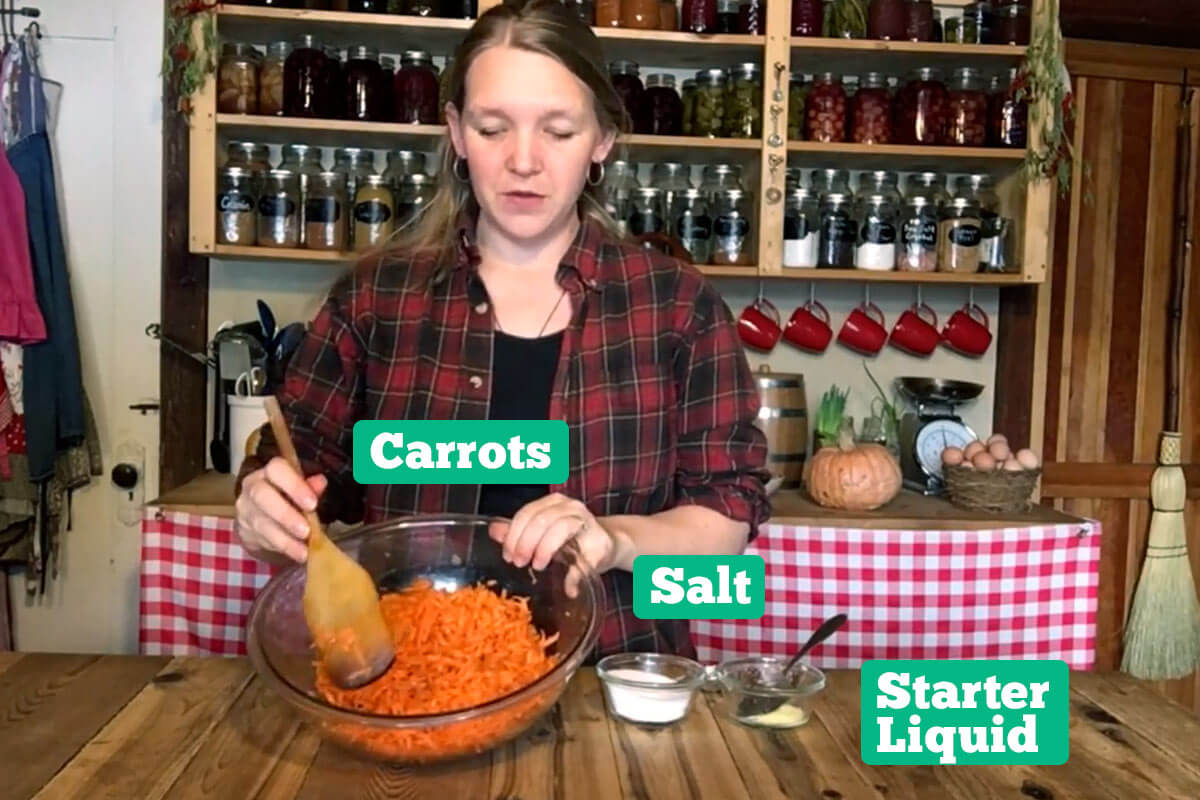 Fermented carrot ingredients: carrots, salt, starter liquid, and ginger.