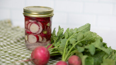 Fermented radishes in a pint jar.