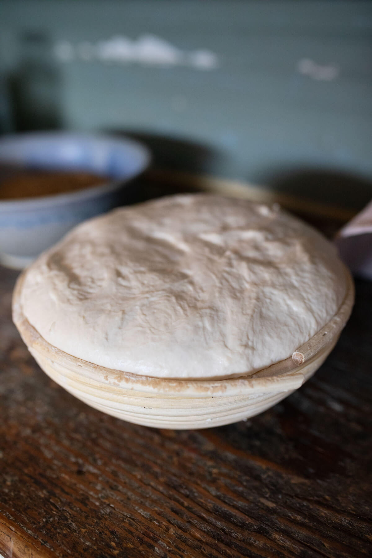 A loaf of sourdough rising in a banneton.