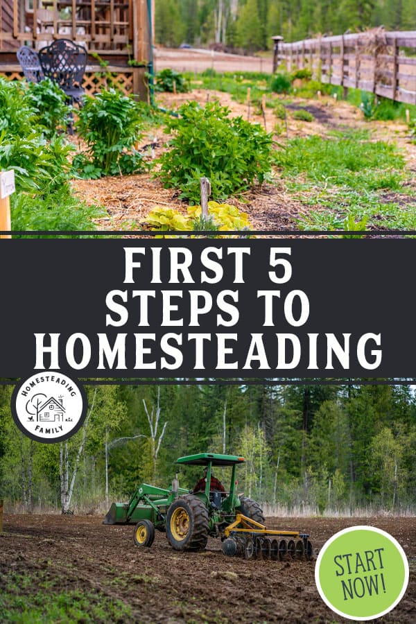 How to Get Started Homesteading — Homesteading Family