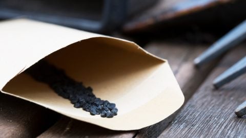 Onion seeds in a brown paper seed packet.