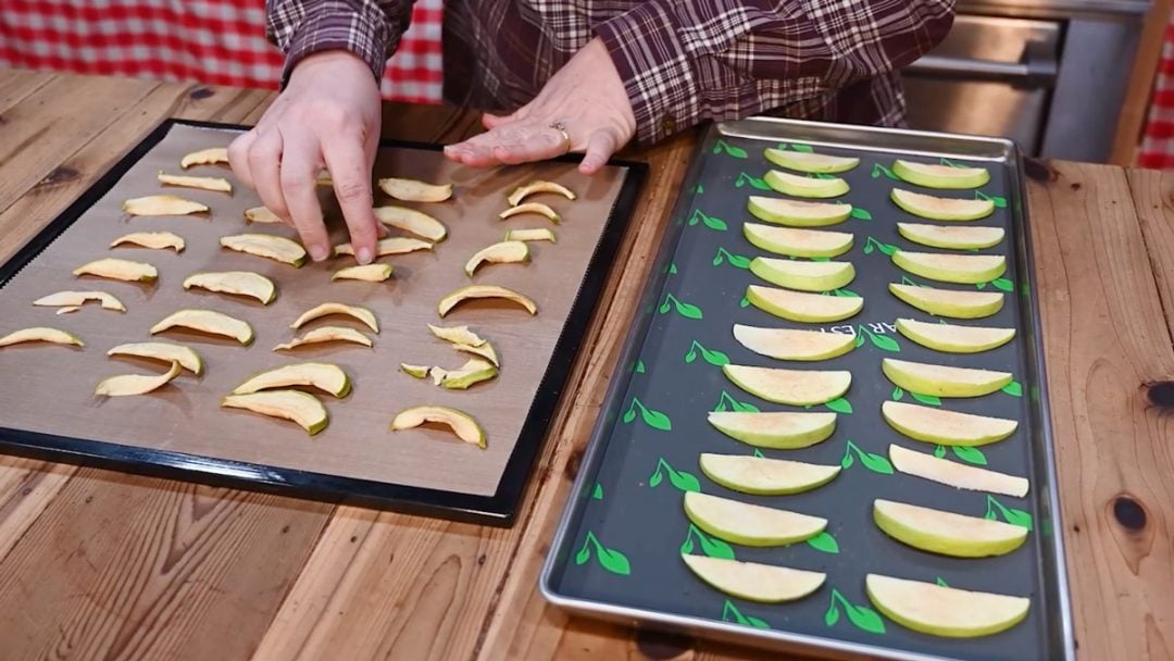 FreezeDried vs. Dehydrated Foods (What's the Difference