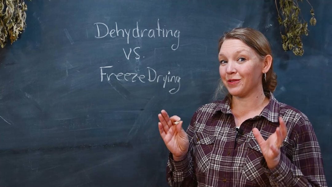 FreezeDried vs. Dehydrated Foods (What's the Difference