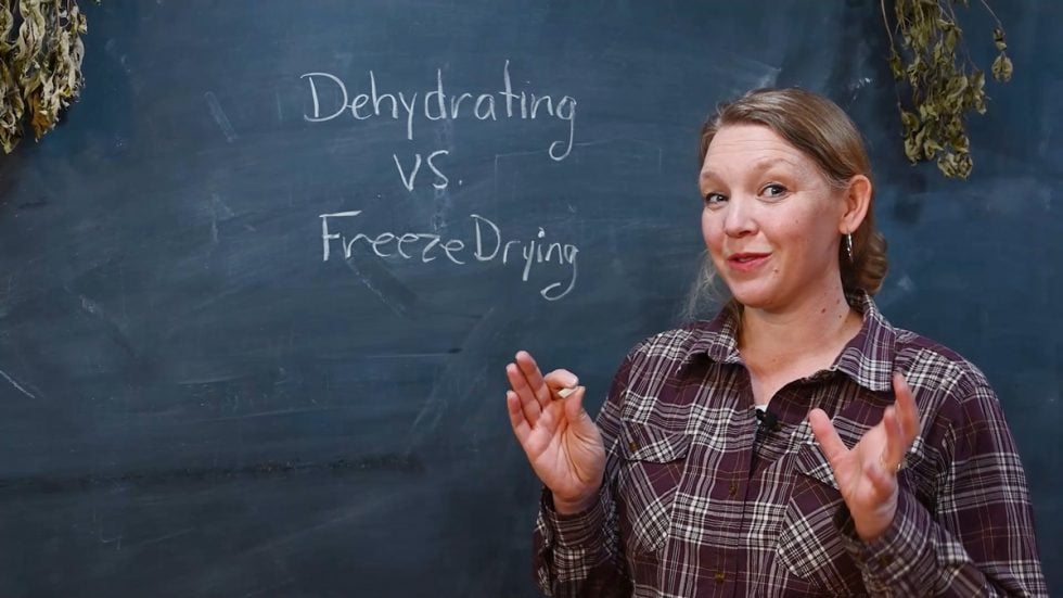 FreezeDried vs. Dehydrated Foods (What's the Difference