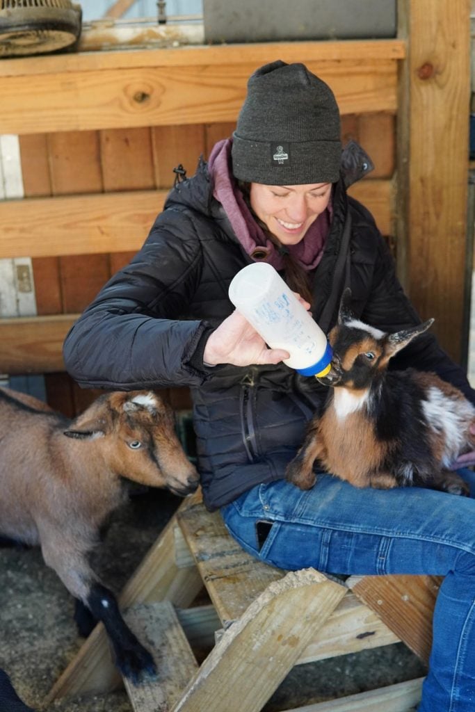 A woman bottle feeding a baby goat.