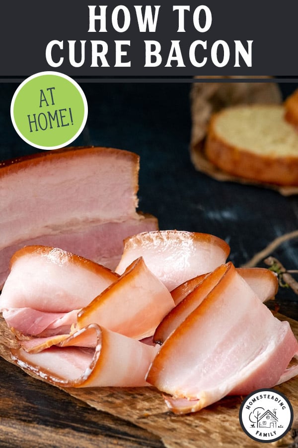 A Homesteader's Guide to Cured Bacon — Homesteading Family