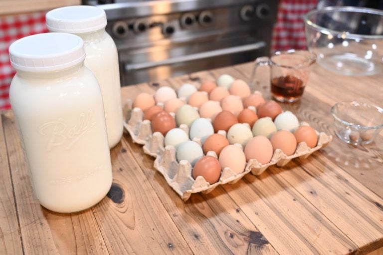 Homemade Eggnog Recipe — Homesteading Family