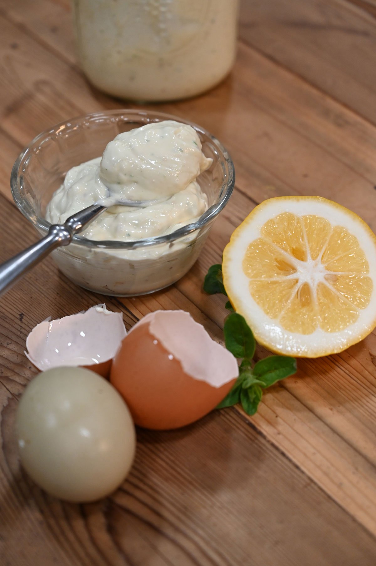 Easy Homemade Fermented Mayo-image