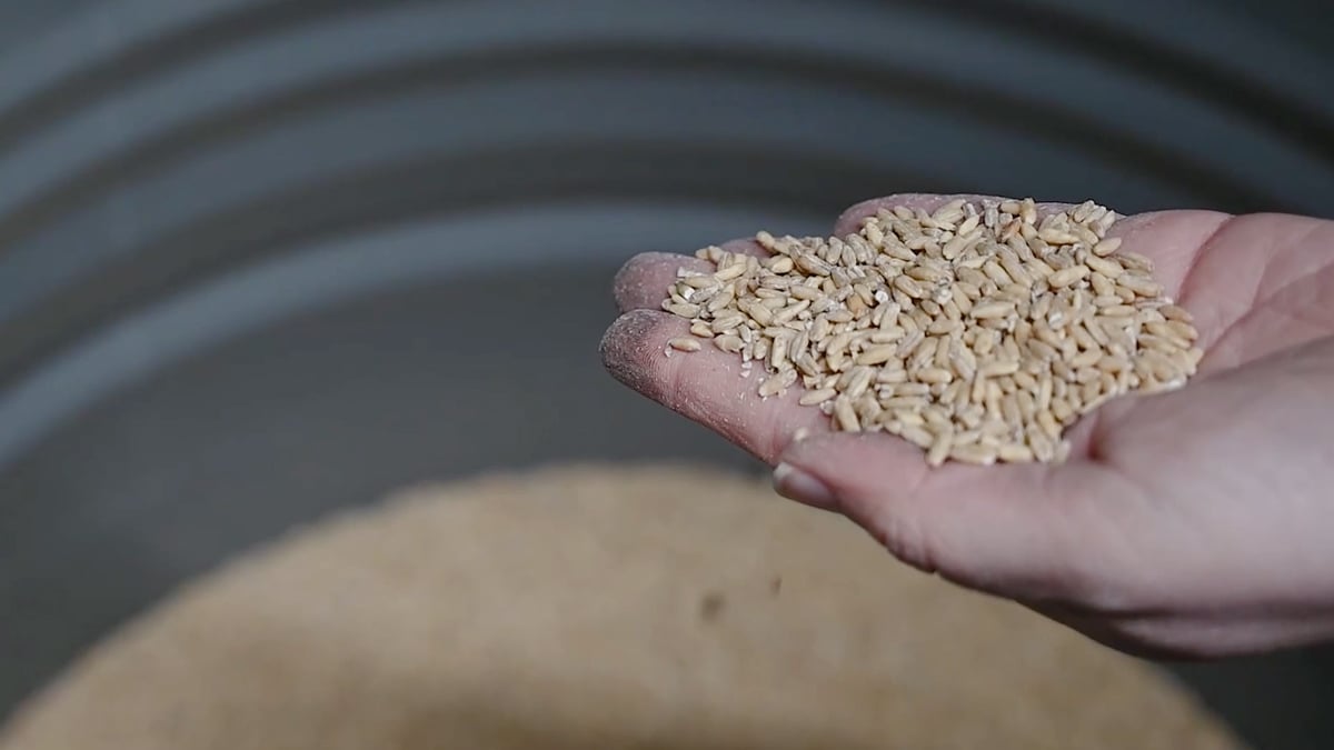 How We Use Food Storage Barrels & Best Foods for LongTerm Storage