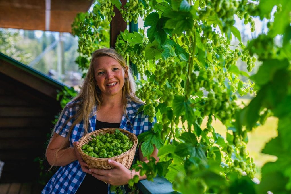 A woman harvesting hops on the balcony of a house.