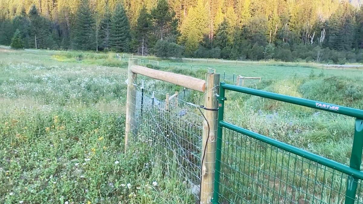Fencing in a pasture.
