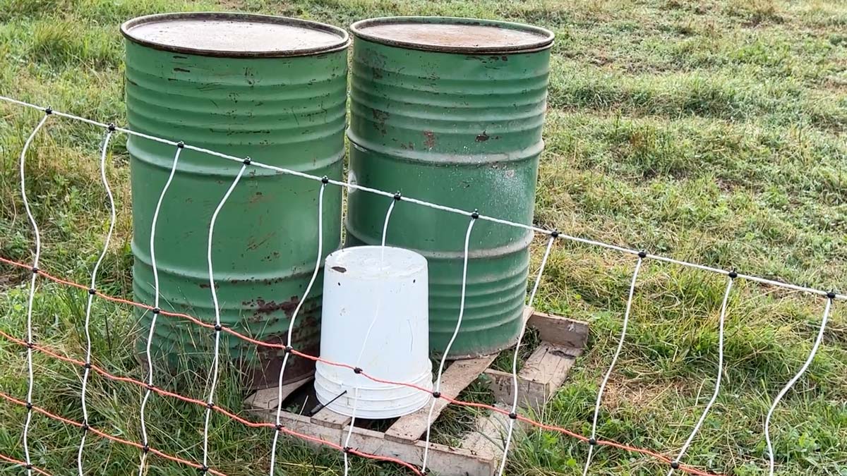 50 gallon barrels of feed in a pasture.
